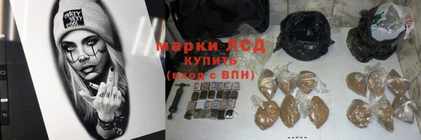 PSILOCYBIN Верея