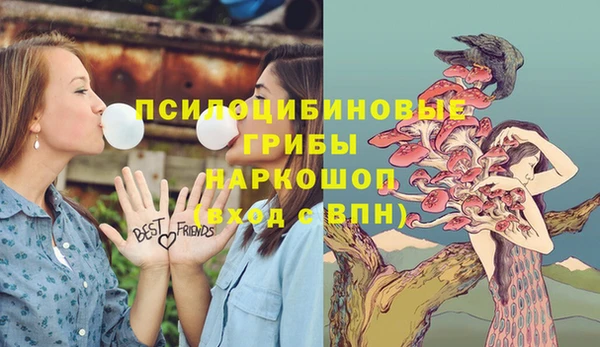 индика Володарск