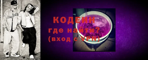 индика Володарск