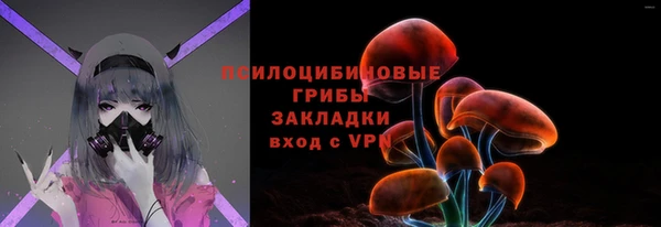 PSILOCYBIN Верея