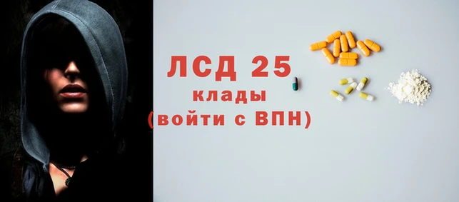 индика Володарск