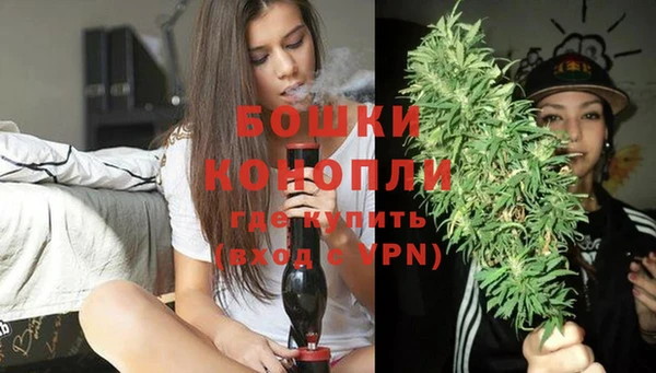 индика Володарск