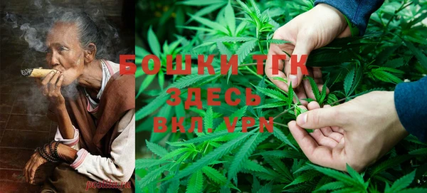 индика Володарск