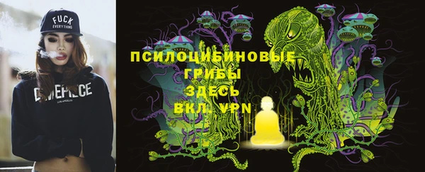 индика Володарск