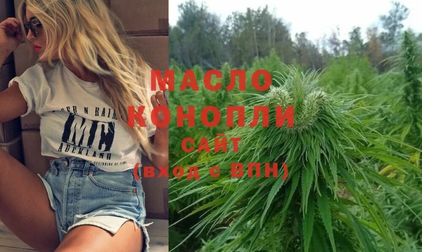 индика Володарск